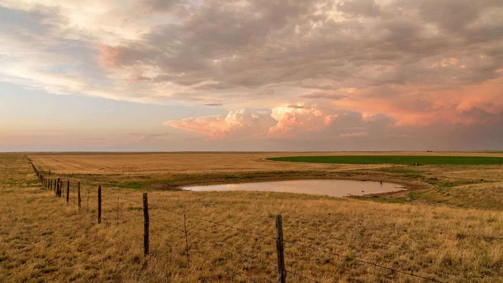 Flat treeless short-grass prairie on the Llano Estacado with a shallow playa, a green irrigated field in the distance and a fence line running to the horizon.