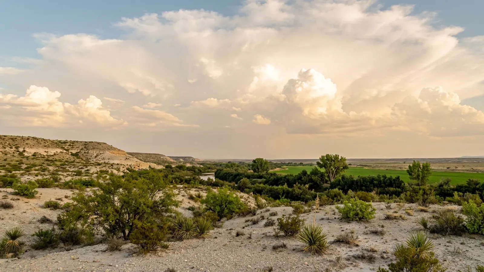 Mesquite and yucca rangeland in the Pecos Valley, with trees and green irrigated fields along the river and a low escarpment under towering clouds.