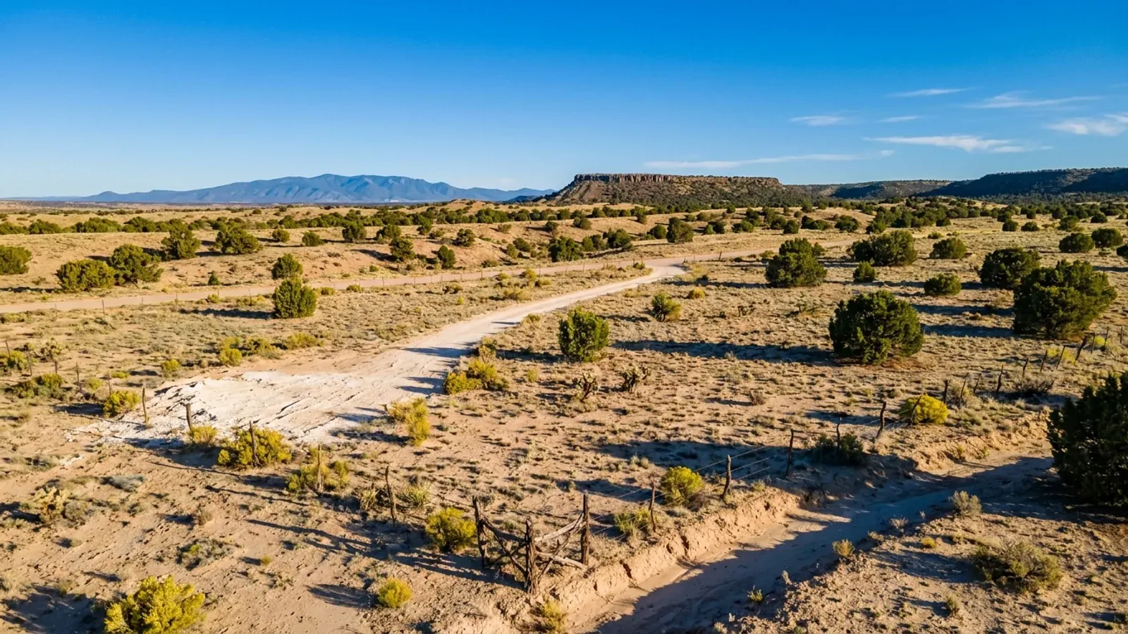Aerial view of an undeveloped high desert lot with scattered piñon and juniper, a pale caliche access track and a dry arroyo crossing one edge.