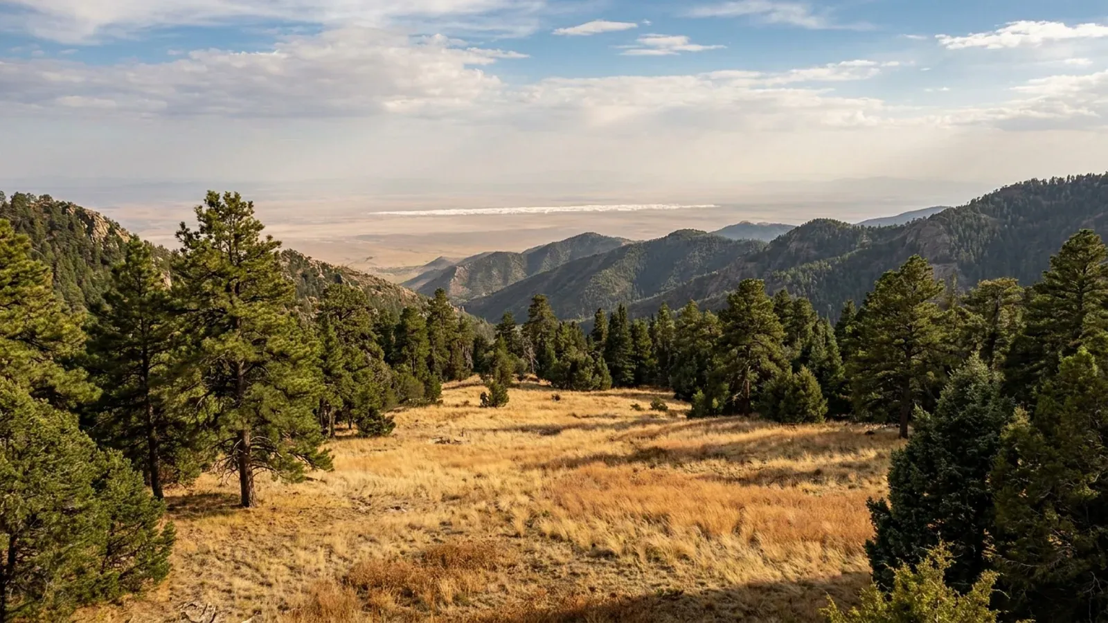 A mountain meadow framed by ponderosa pines in the Sacramento Mountains, with forested ridges falling away to a wide basin below.